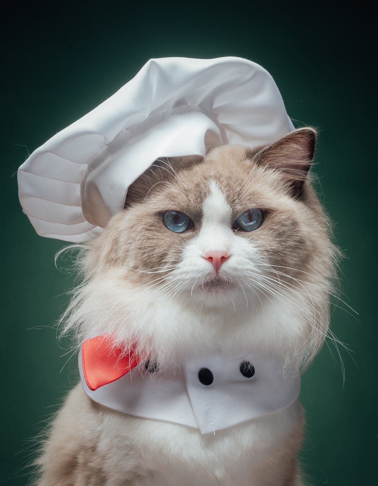 Puff's Chef Costume