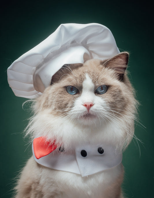 Puff's Chef Costume