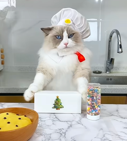 Puff's Chef Costume