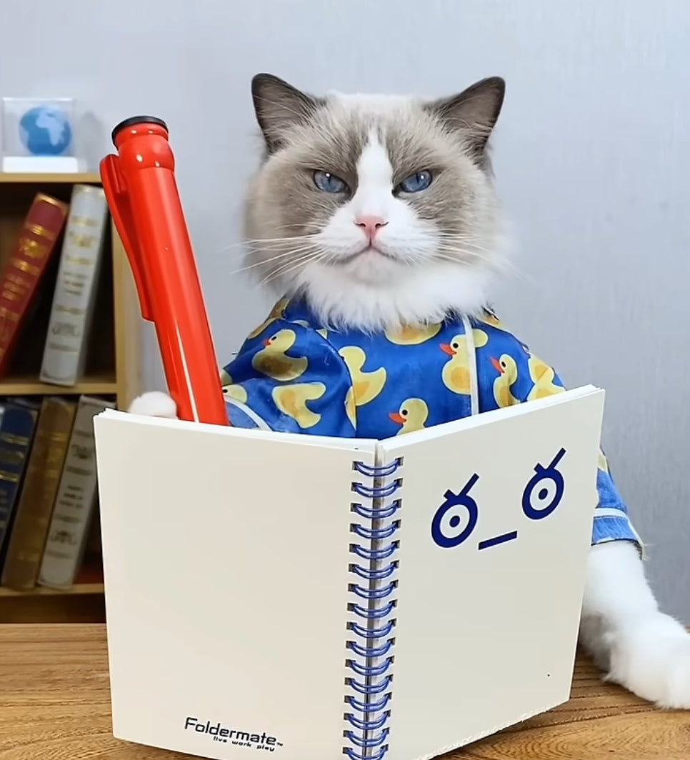 Puff's Jumbo Pens x 3