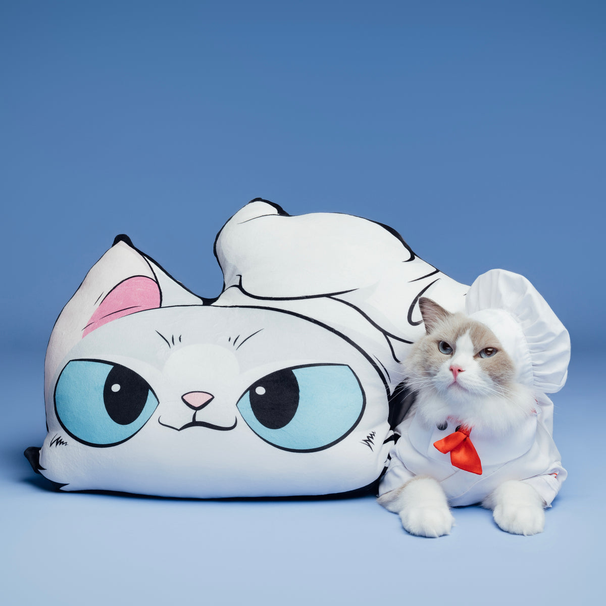 Puff Kitty That Little Puff | Welcome to Pets Parenthood