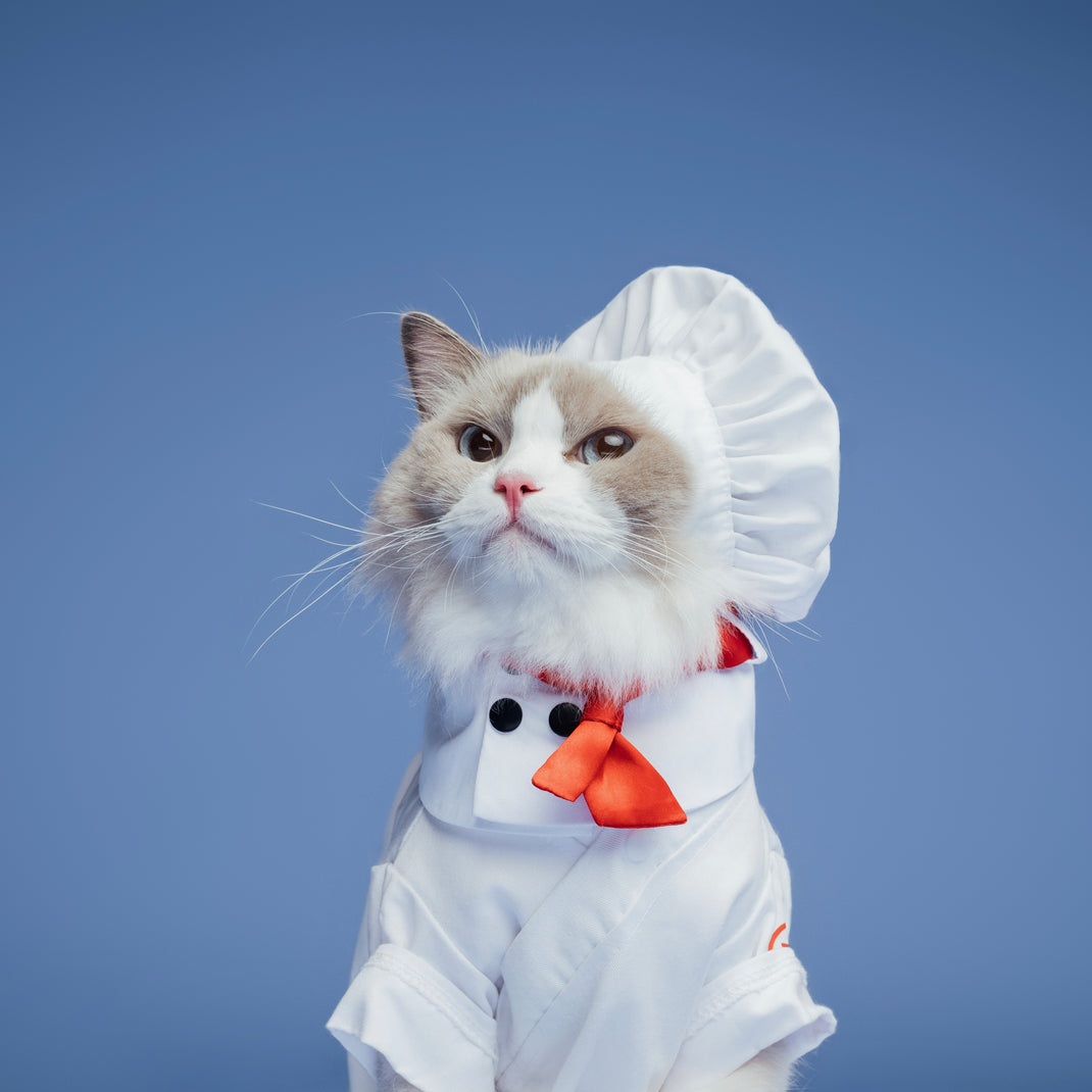 Puff Kitty Puff's Story – That Little Puff